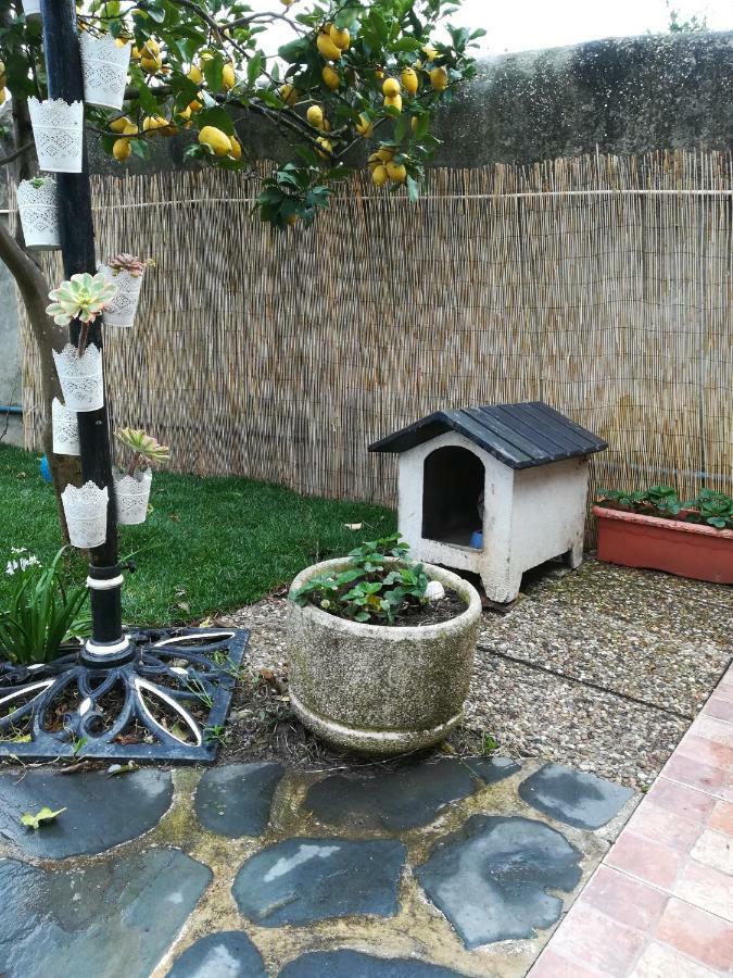 Lourenco House Póvoa de Varzim Екстериор снимка